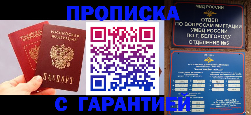 прописка 2025 в Фрязино